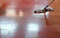 辦公區(qū)域保潔要注意哪些方面呢？