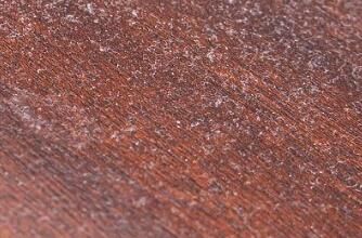 對(duì)于家里灰塵的清理，有什么方法嗎？