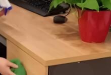 辦公區(qū)域保潔要做哪些呢？