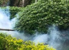 四害消殺完成后，需要做哪些鞏固工作呢？